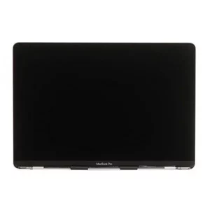 Écran MacBook Pro 16″ A2141 année 2019 couleur Gris Sideral