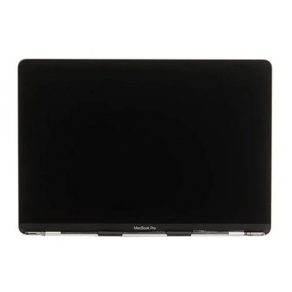 Écran MacBook Pro 16″ A2141 année 2019 couleur Gris Sideral