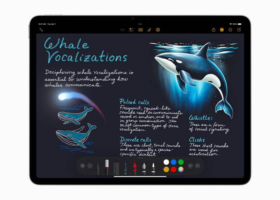 iPad 11" (A16) — photo 2