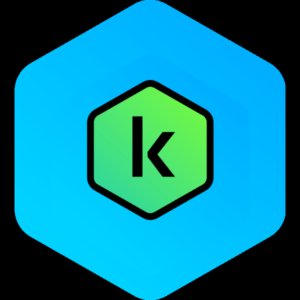 Kaspersky Standard – 1 an / 1 appareil