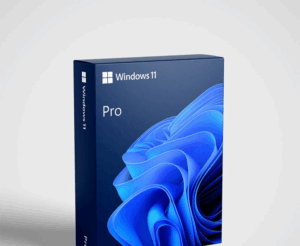 Windows 11 Pro